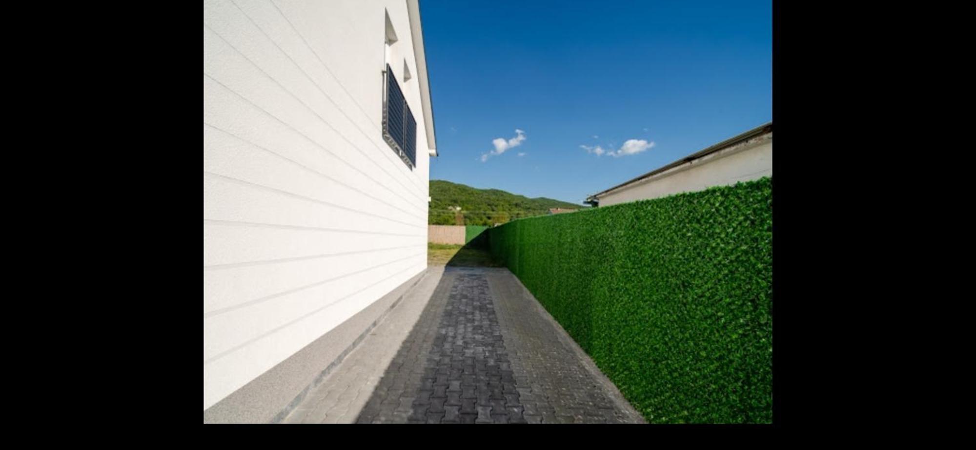 Vila Tom & Jerry Raska Exterior photo